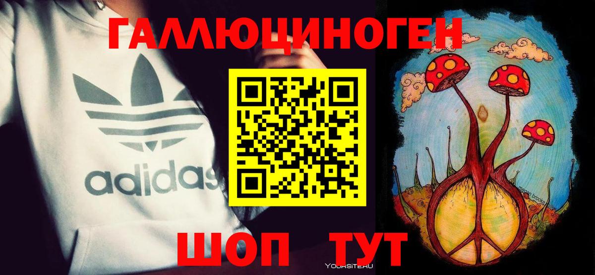 купить наркотики сайты  Вход с VPN  Галлюциногенные грибы мухоморы  Ростов-на-Дону  Галлюциногенные грибы Psilocybe 